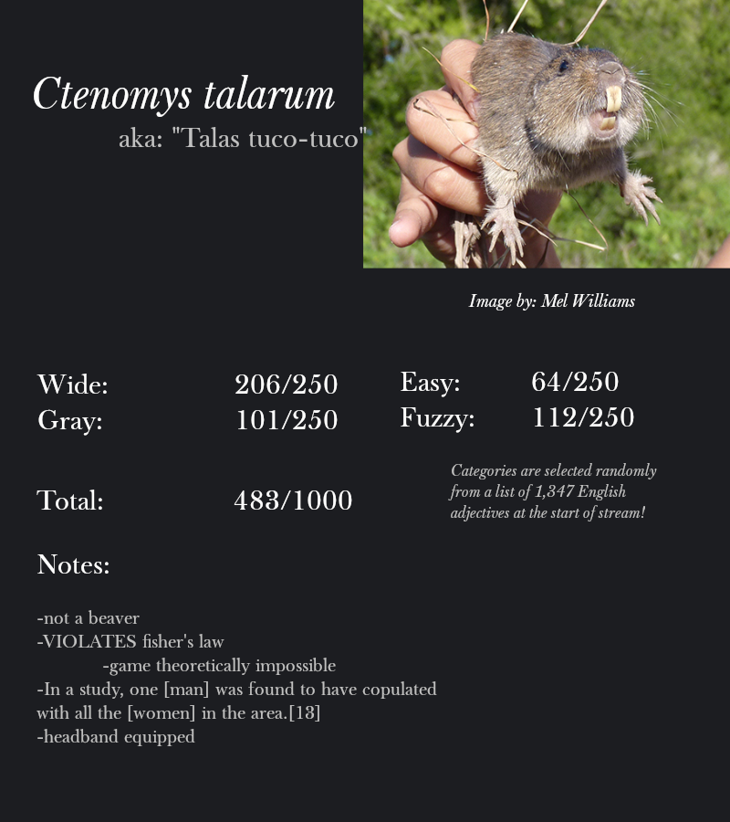 Ctenomys talarum